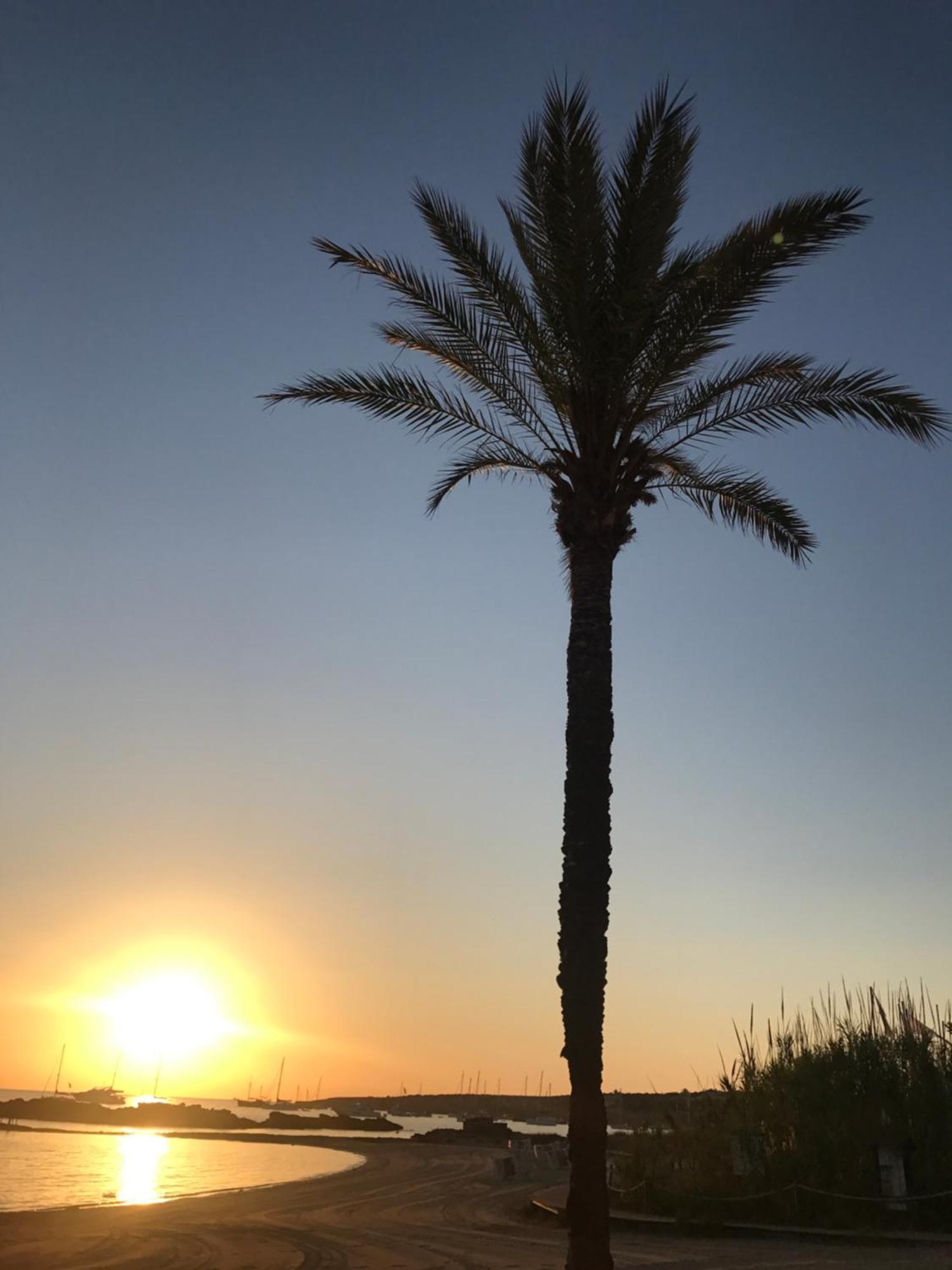 Es Pujols Vista Mare Lägenhet Exteriör bild