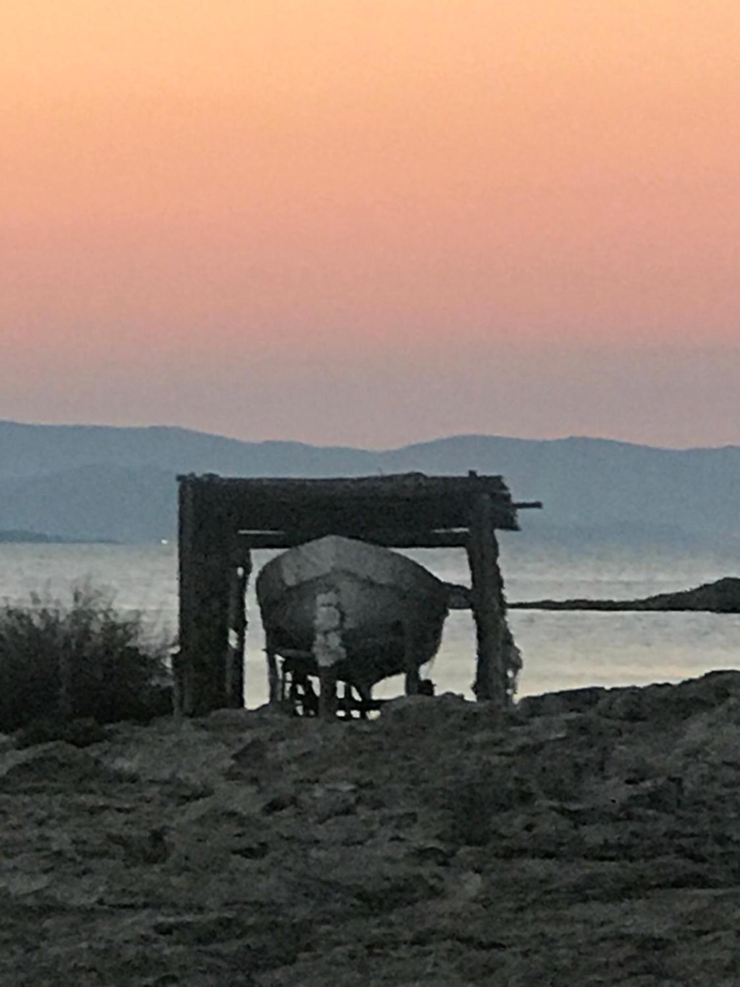 Es Pujols Vista Mare Lägenhet Exteriör bild